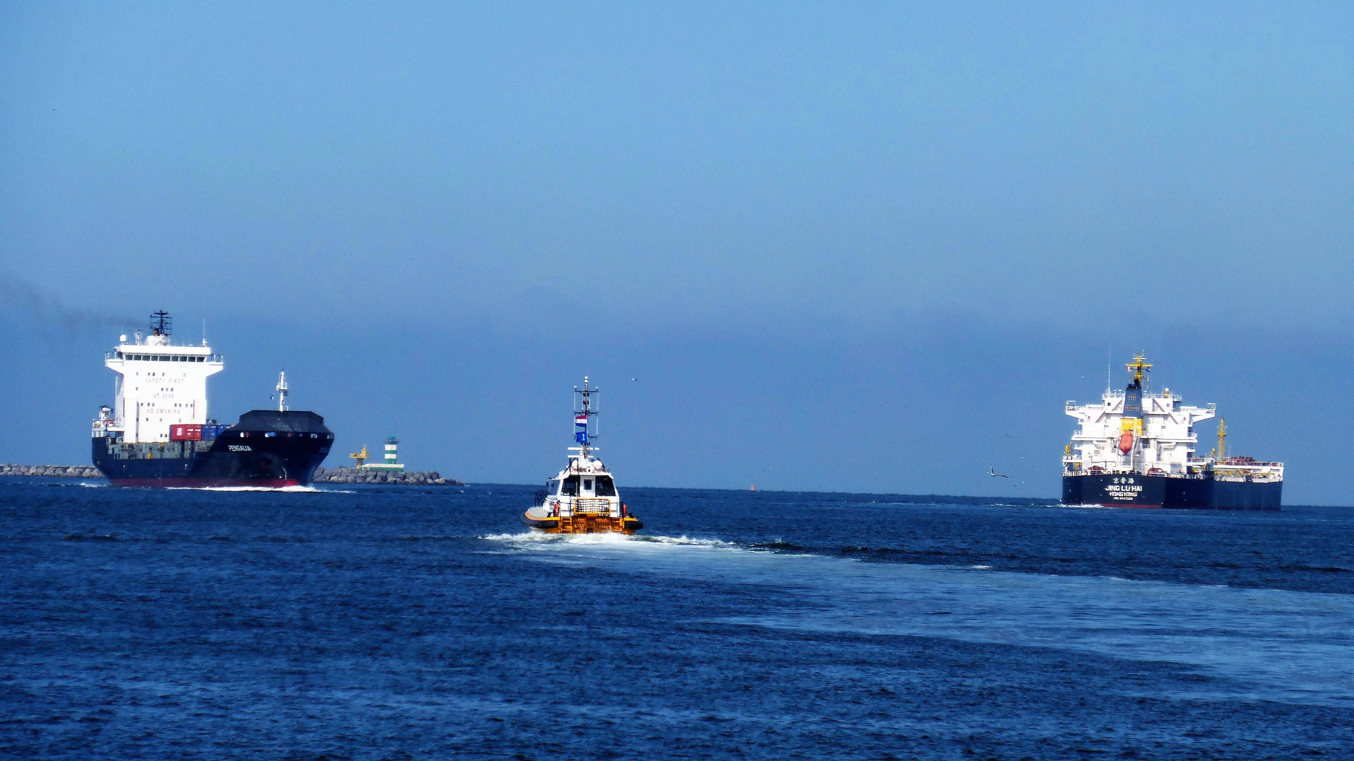 Pieren IJmuiden 19-07-18 